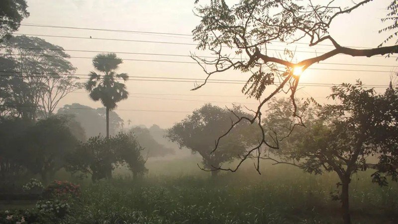 নভেম্বরের মাঝামাঝি শীতের আমেজ, ঢাকায় তাপমাত্রা নামতে পারে ১১ ডিগ্রিতে