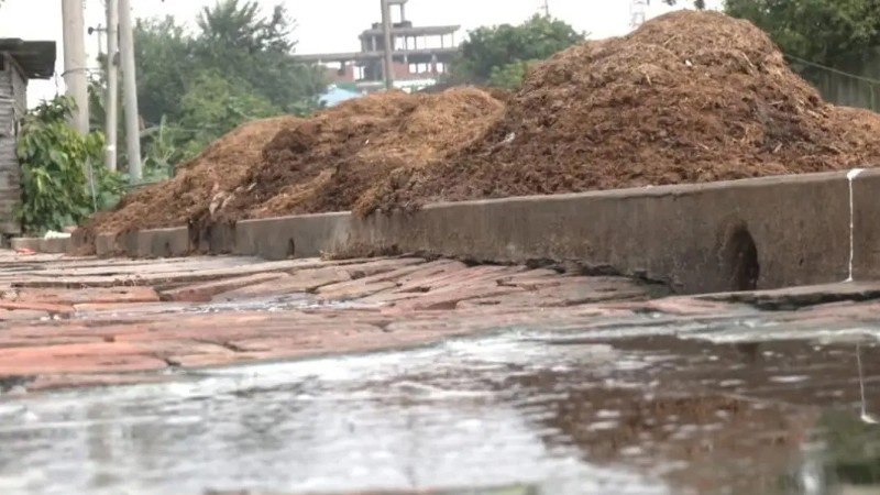 উদ্বোধনের ৫ মাসেও চালু হয়নি কোটি টাকার কসাইখানা, পশুবর্জ্যে দুর্ভোগ