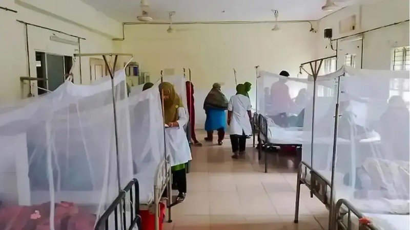 দেশে ২৪ ঘণ্টায় ডেঙ্গুতে আরও ৯ জনের মৃত্যু, হাসপাতালে ভর্তি ১৯০০ ছাড়াল